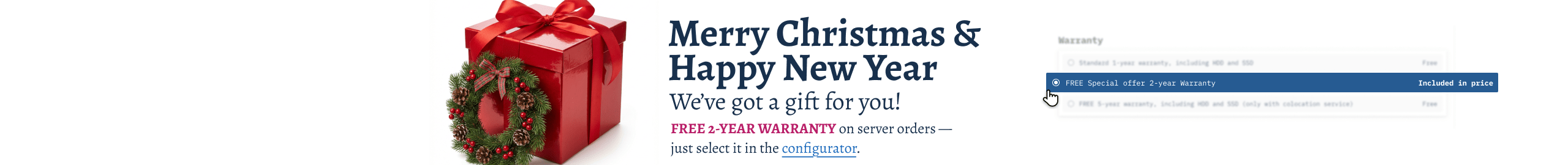 Christmas & New Year Offer