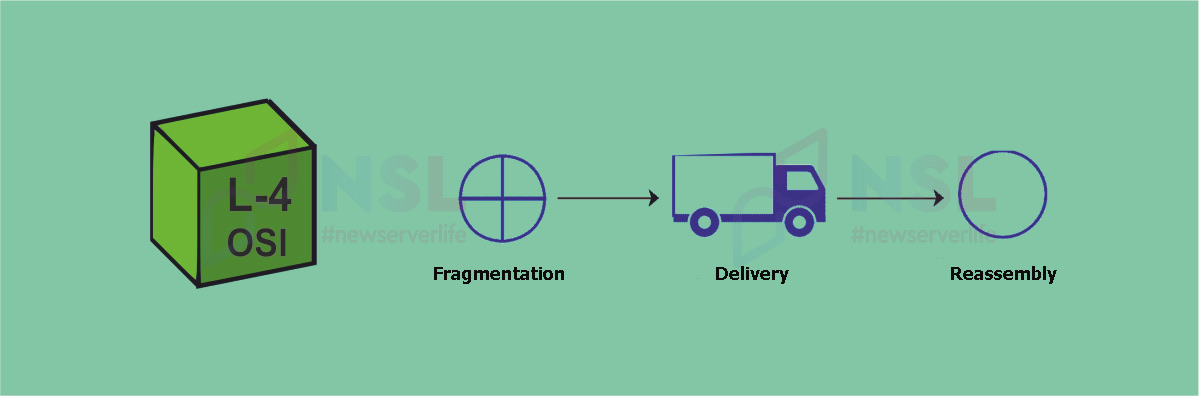 OSI network model for beginners: device, layers, protocols